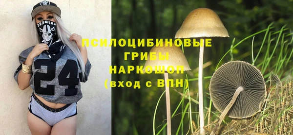 МДПВ Алзамай