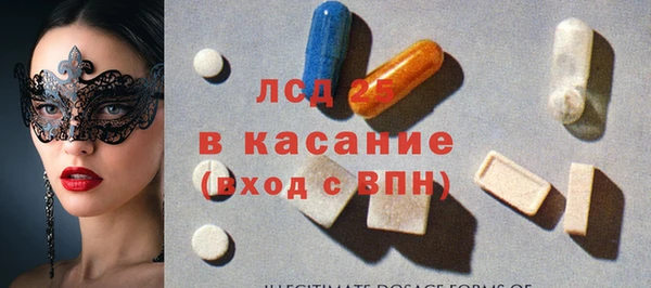 стаф Дмитров