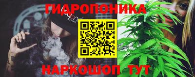 индика Боровичи