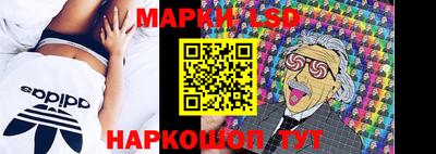 индика Брянск