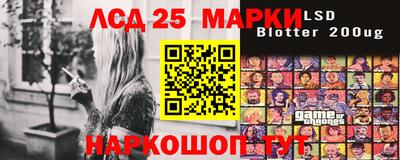 индика Боровичи