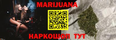 индика Боровичи