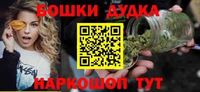 индика Брянск