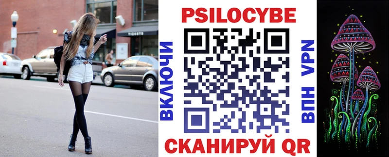kraken как войти Белебей Псилоцибиновые грибы мицелий