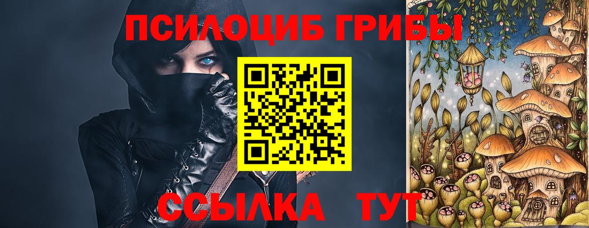 Белебей  Псилоцибиновые грибы прущие грибы  Вход с VPN 